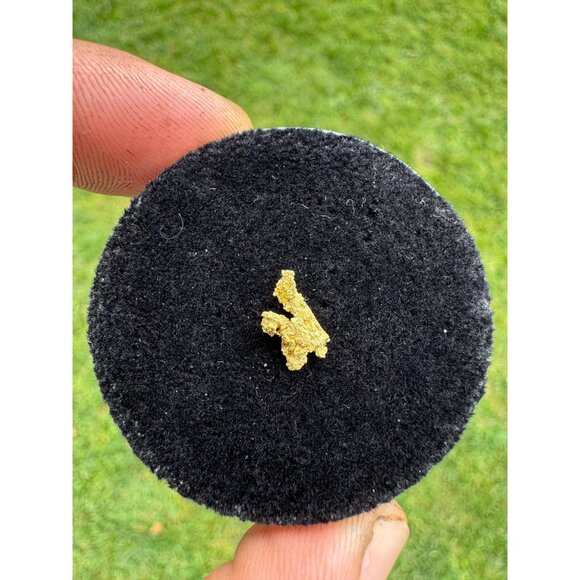 California Native Gold Crystal - 0.40 grams - Picture 2 of 9